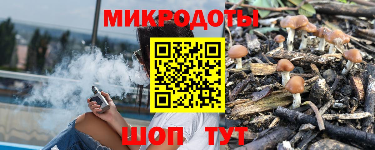 Псилоцибиновые грибы Psilocybe  Вход с VPN  Отрадное 